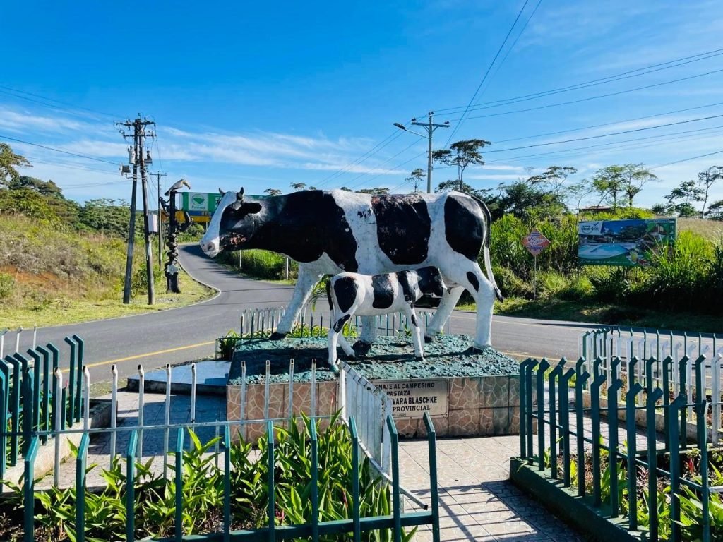 WhatsApp Image 2025-03-07 at 11.55.56 AM