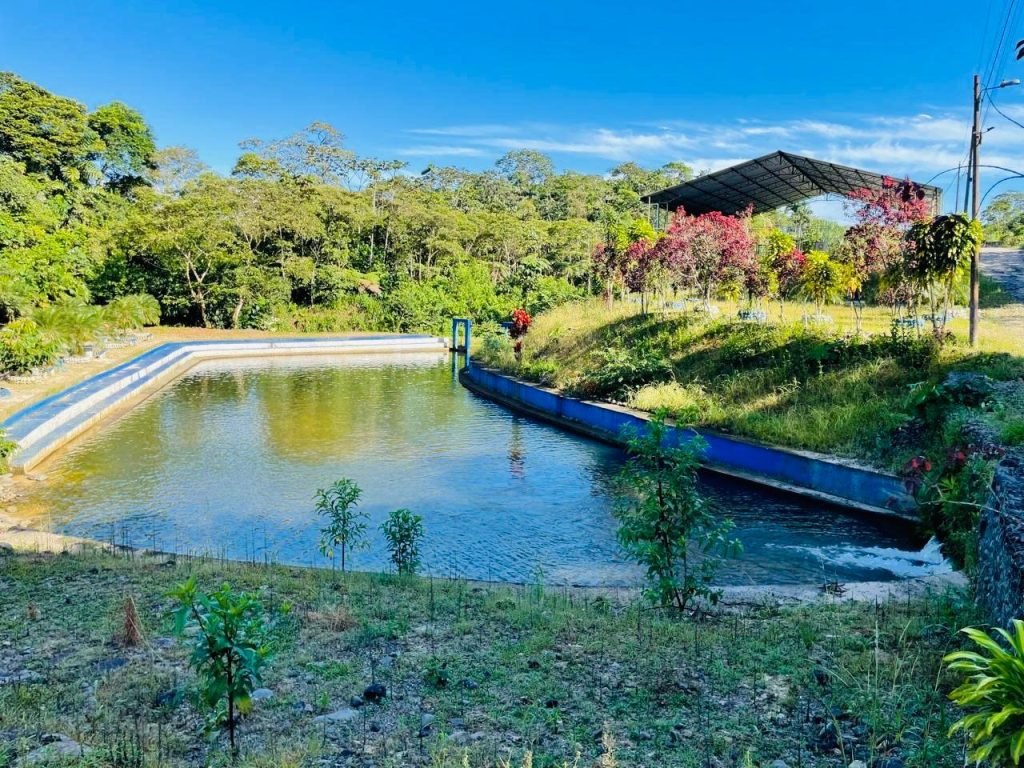 WhatsApp Image 2025-03-07 at 11.55.56 AM (8)