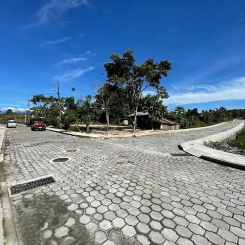 WhatsApp Image 2025-03-07 at 11.55.56 AM (17)