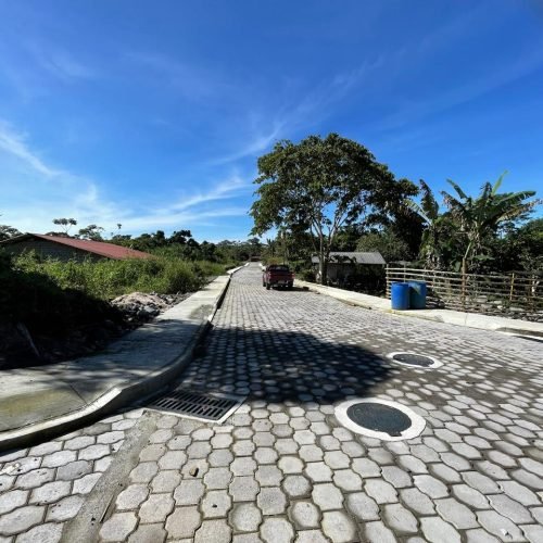 WhatsApp Image 2025-03-07 at 11.55.57 AM