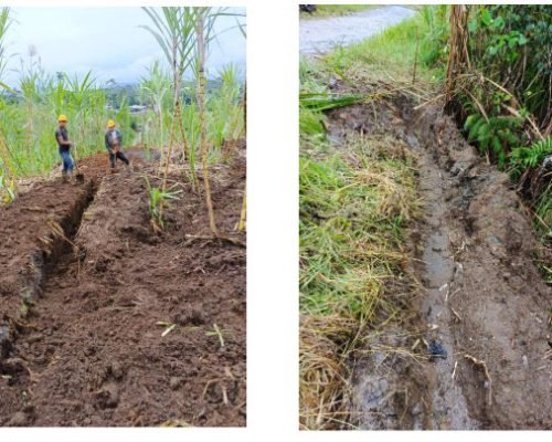 WhatsApp Image 2025-03-07 at 11.55.59 AM (3)